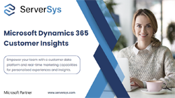 Dynamics 365 Customer Insights Guide Thumbnail