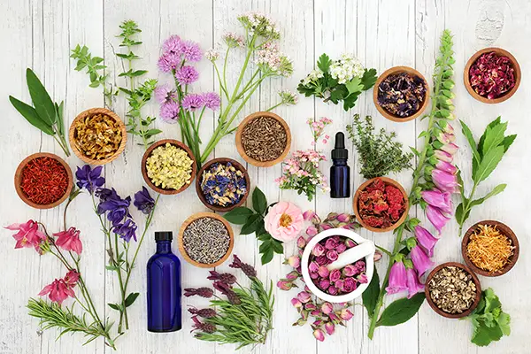 Alchemy Ingredients Thumbnail Case Study