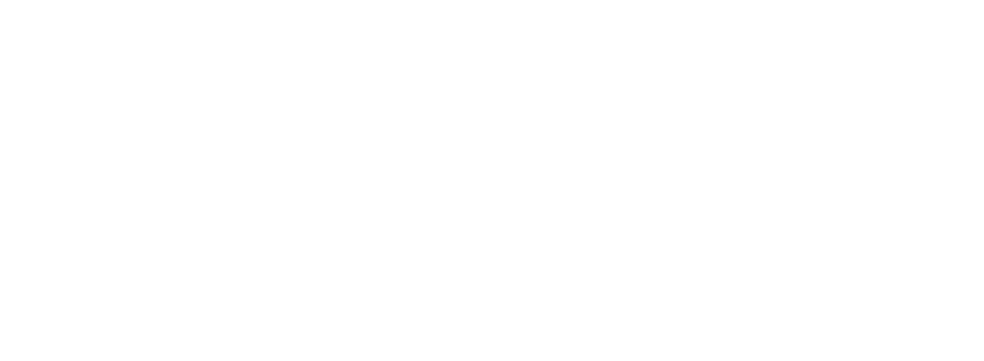 The-Portal-Company-by-ServerSys-white